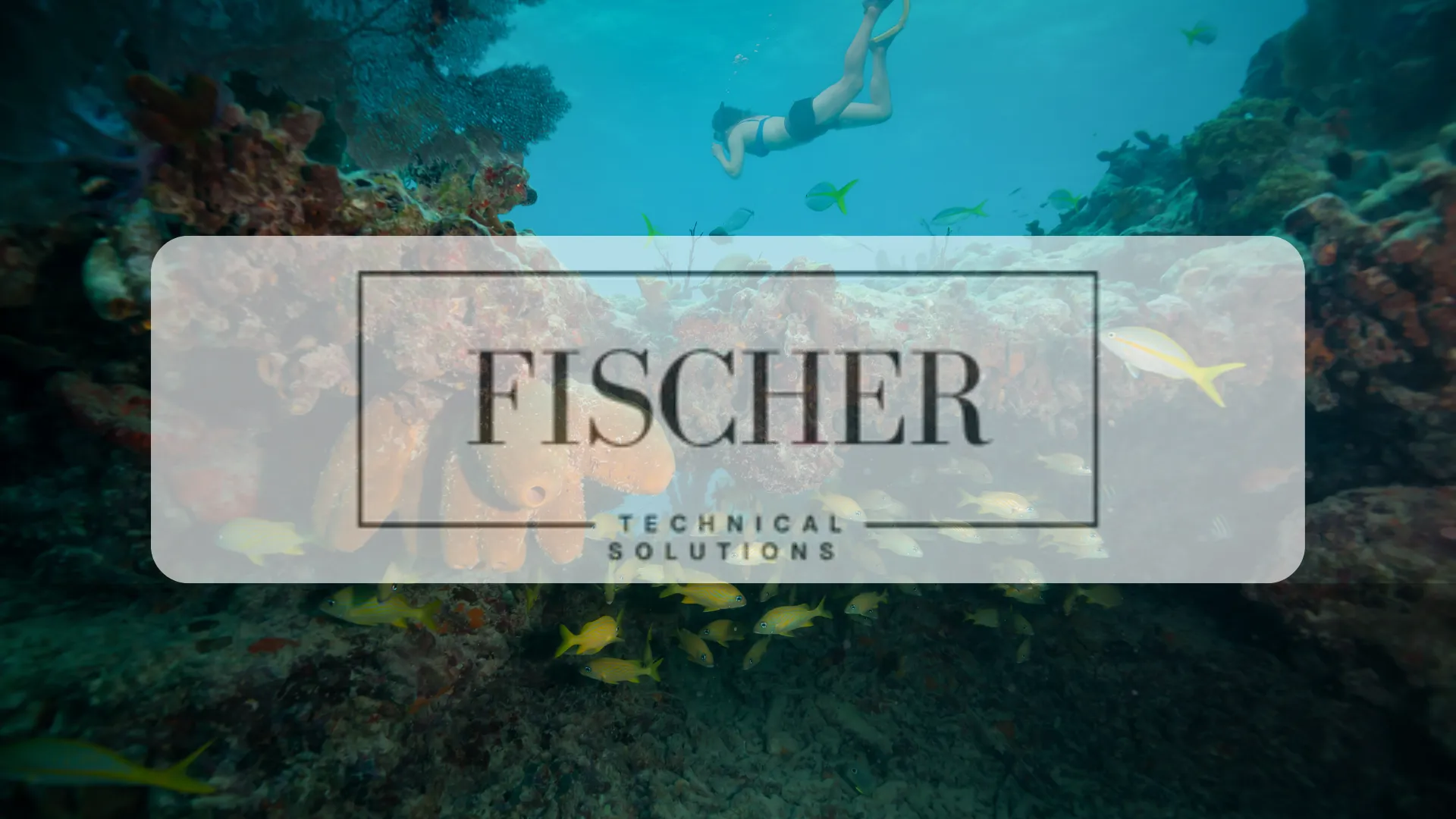 Fischer Technical Solutions