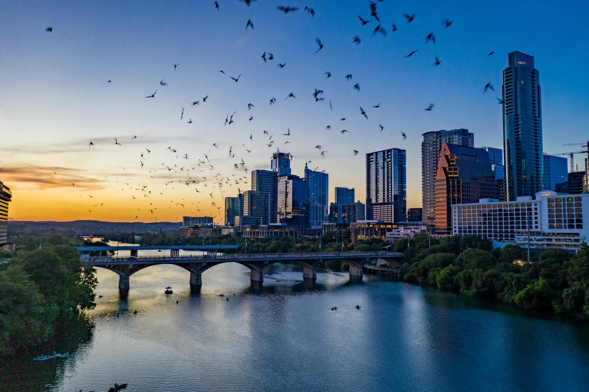 Looking north from the South Side of Lady Bird Lake at the Congress Avenue BRidge