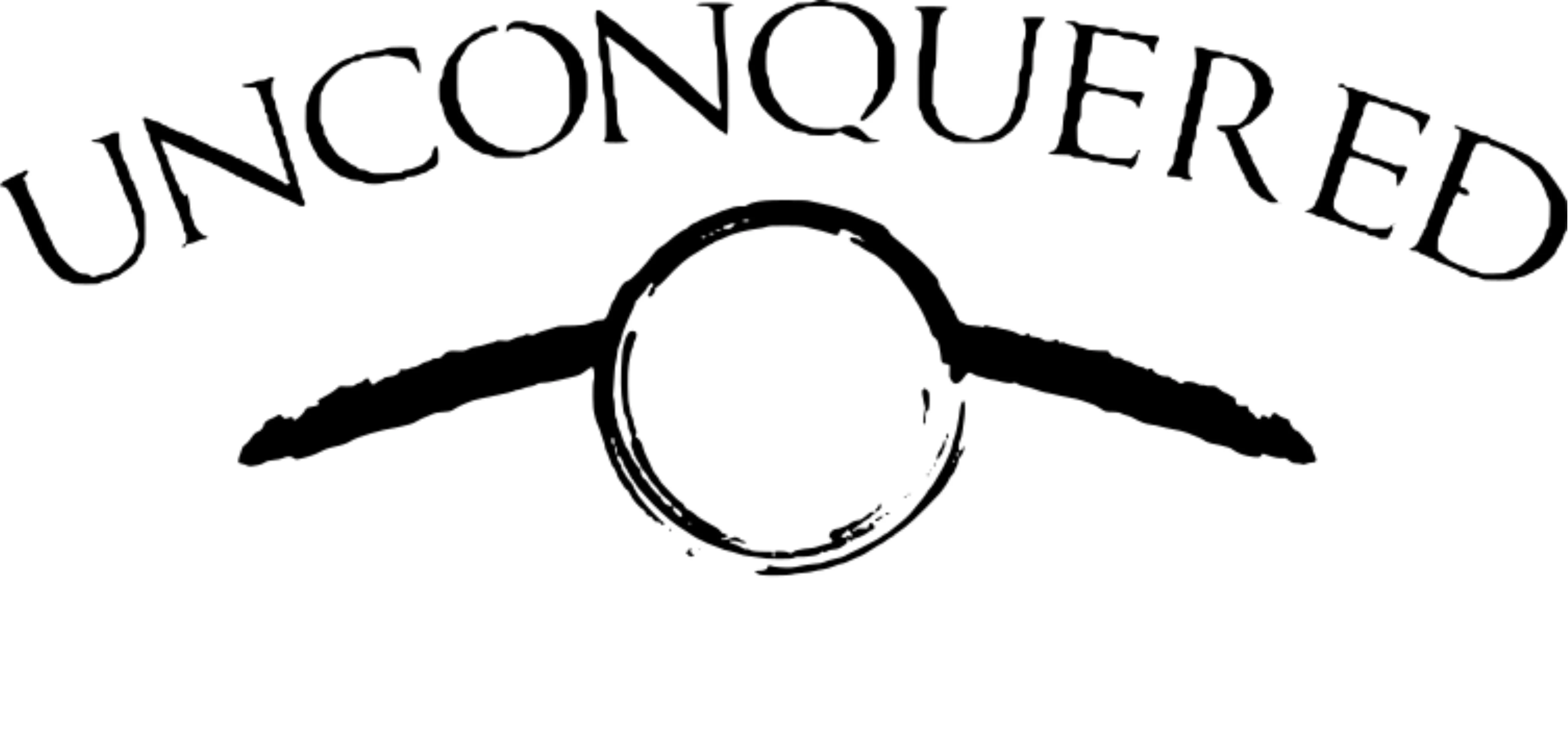 Unconquered Custom Electric Bike Wine Tours