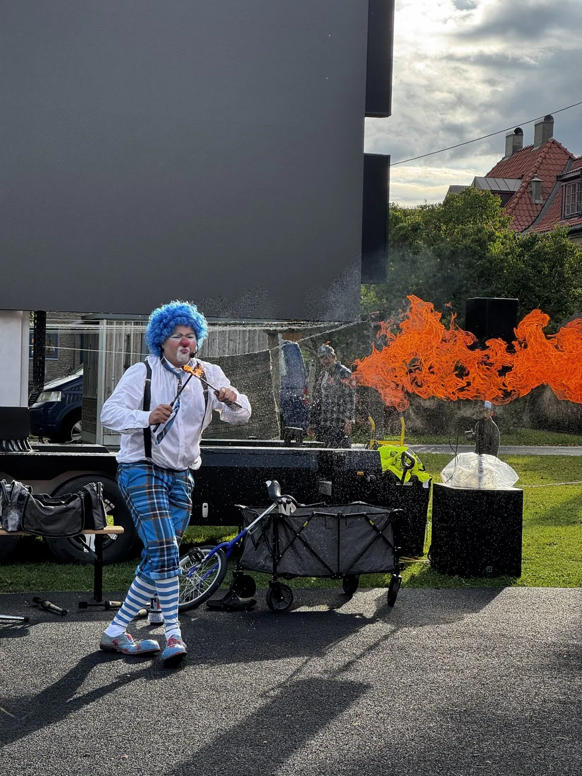Klovn på hagefest