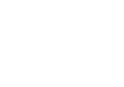 The Happy Ride