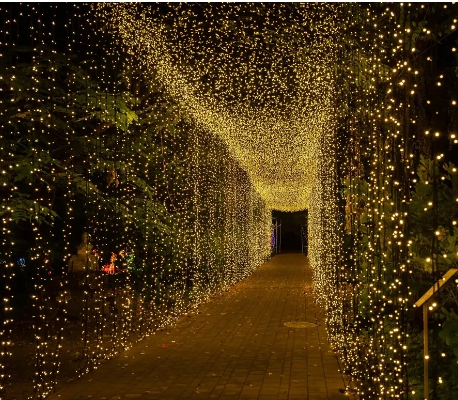 10' x 30' Extra Long Curtain Lights