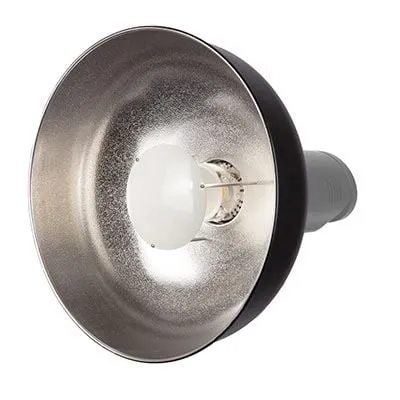Bowens Beauty Dish