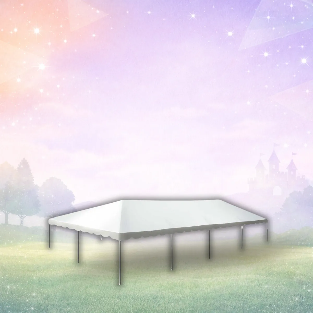 40'x60 Frame Party Tent - White