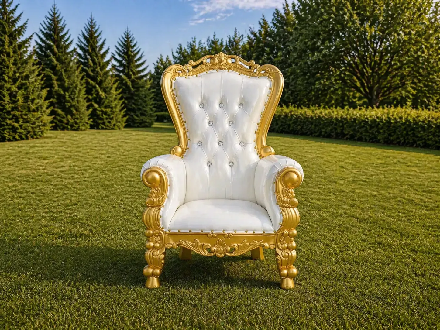 Kids Throne Chair