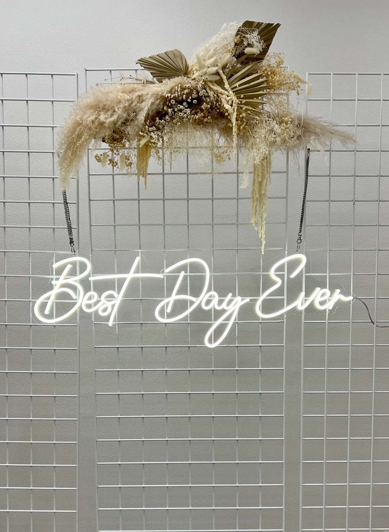 Neon Sign - Best Day Ever