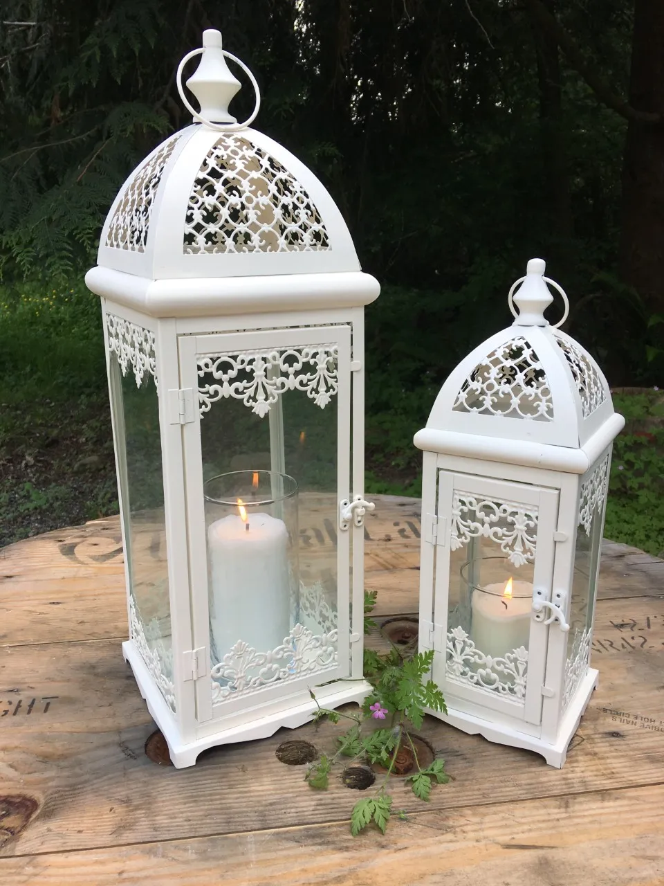 "Kinslee" Lanterns