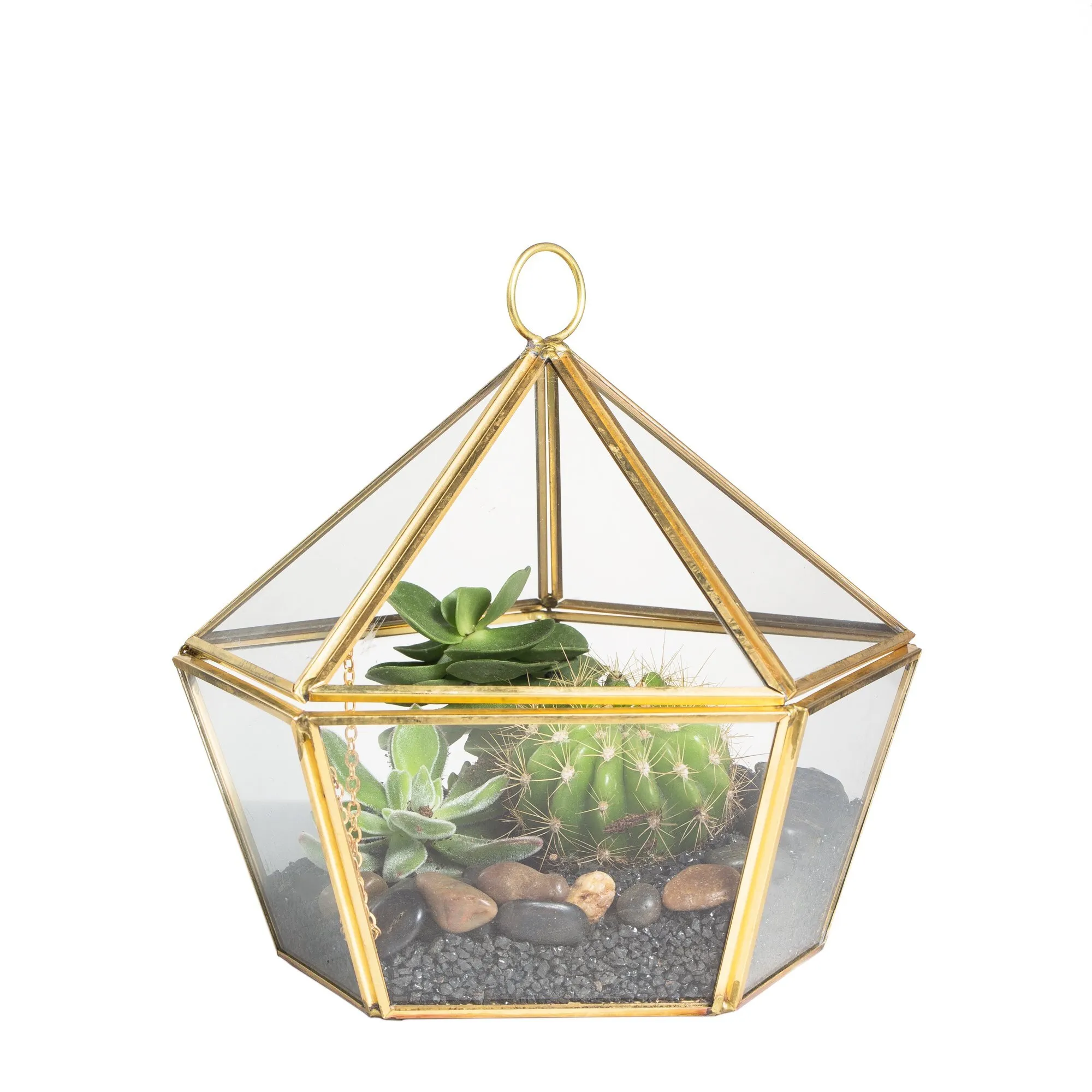 Geometric Terrarium