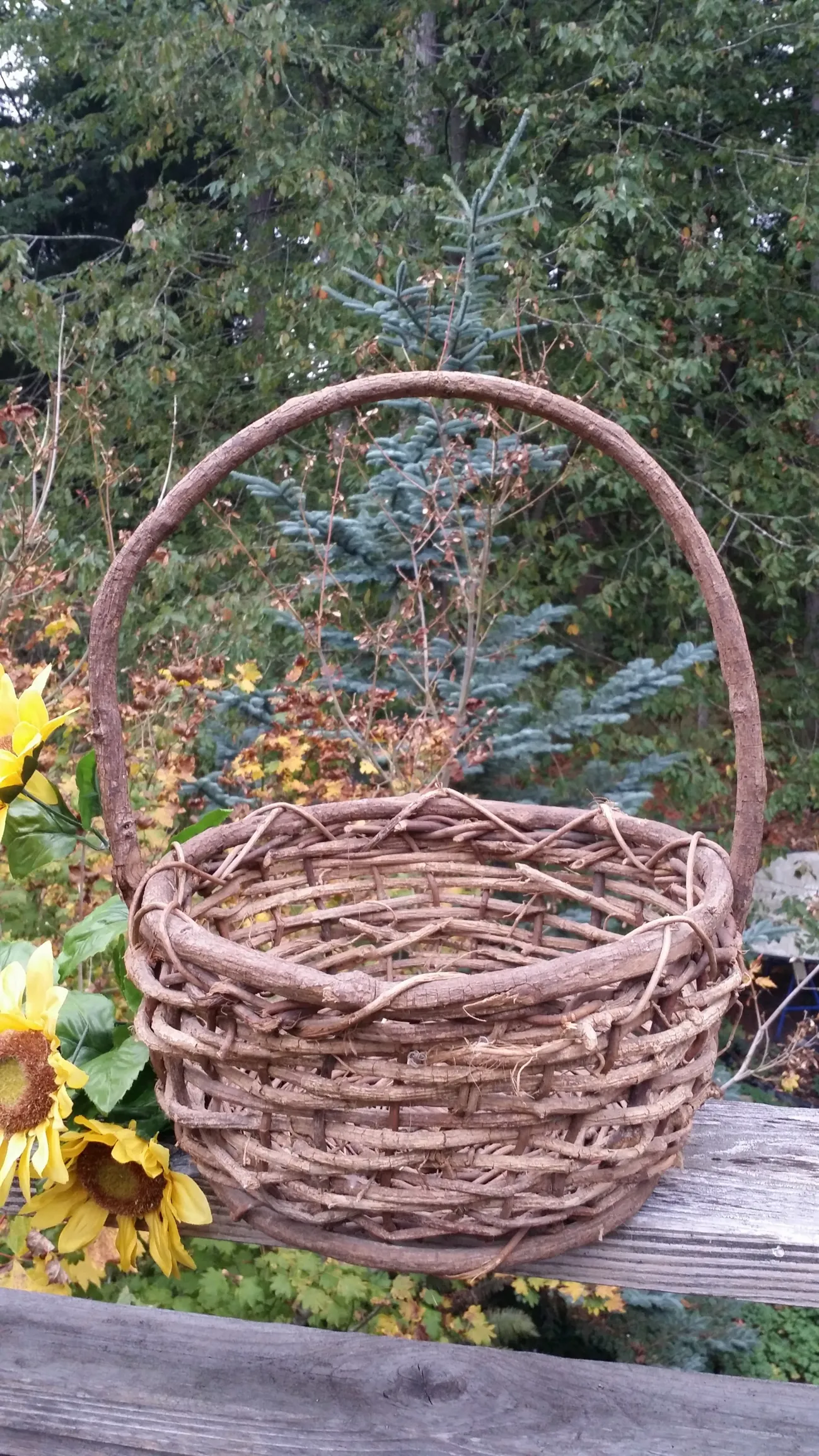 Rustic Twig Basket