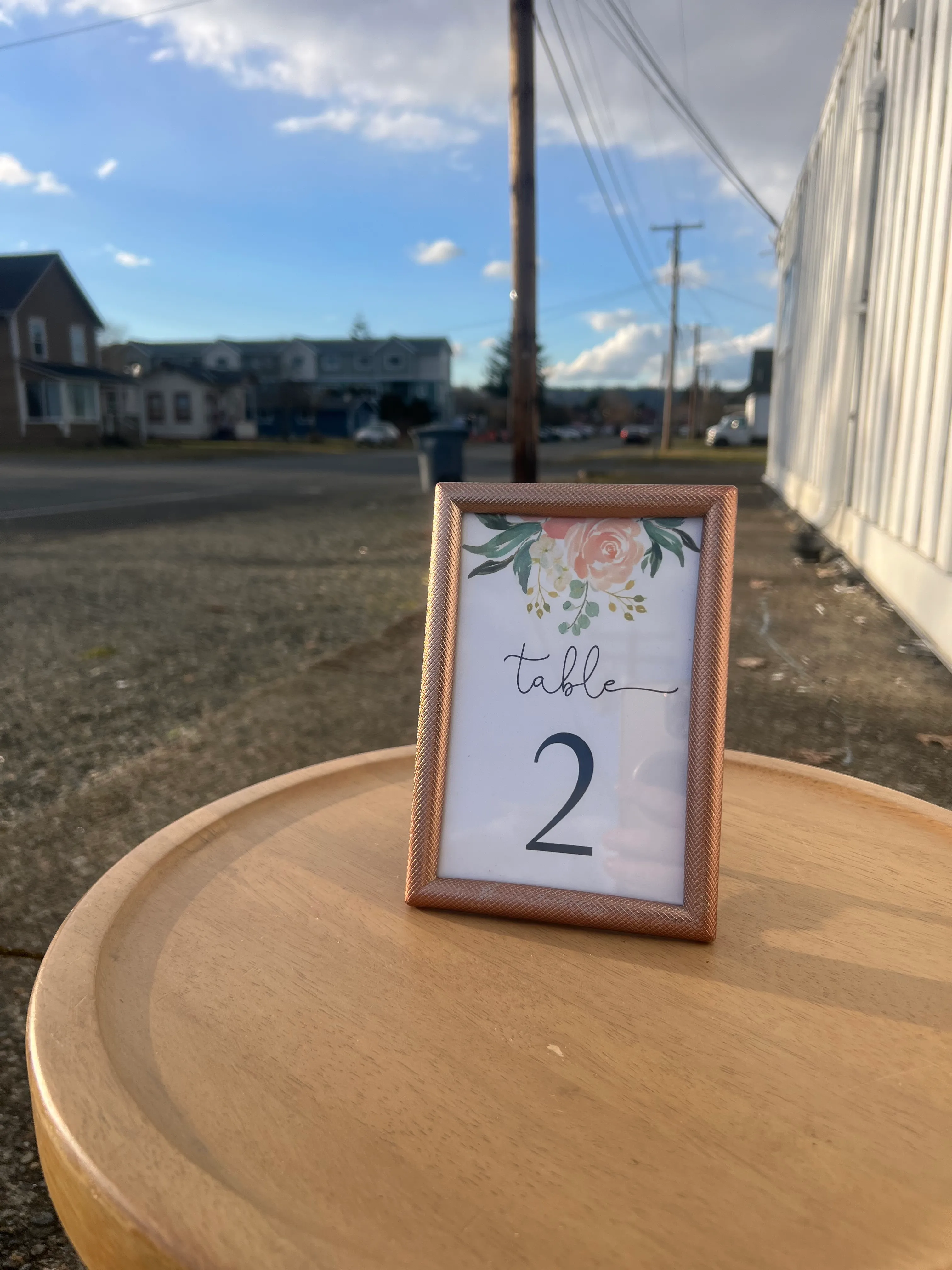 Rose Gold Frame - #2