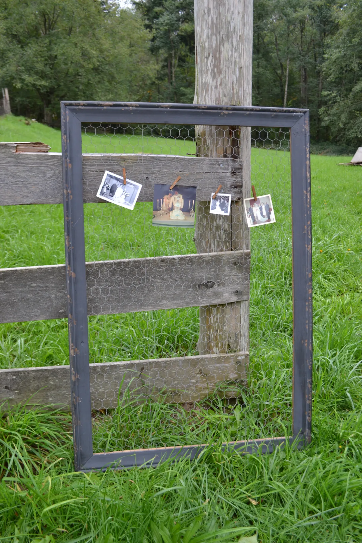 Chicken Wire Frame