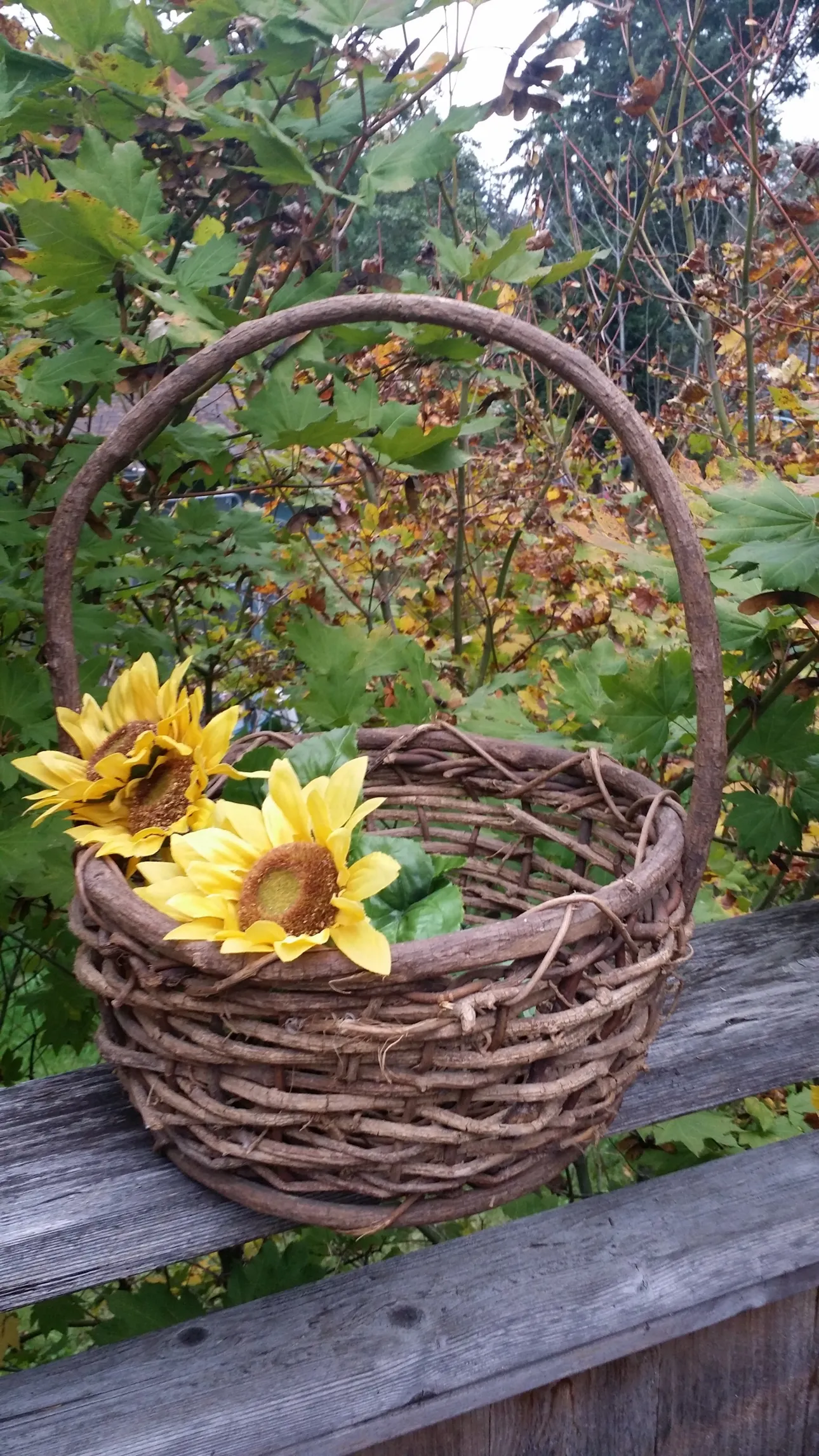 Rustic Twig Basket
