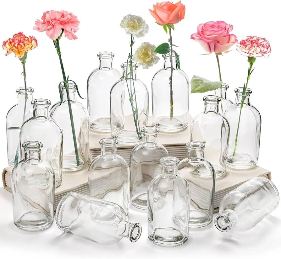 Glass Bud Vases
