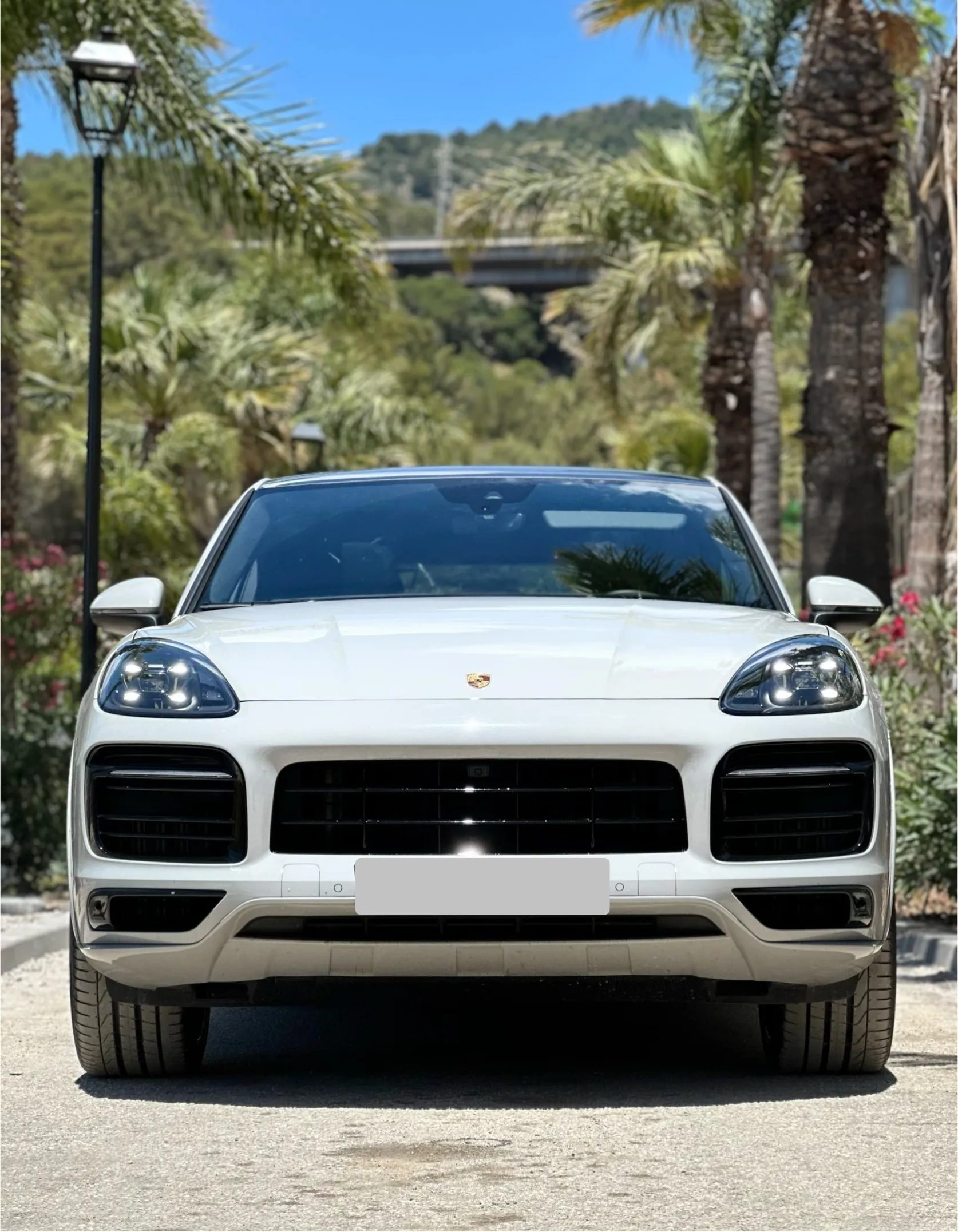 Porsche Cayenne 2023 
