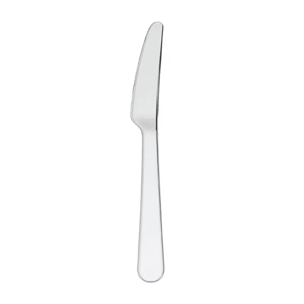 Silver Dinner Knife