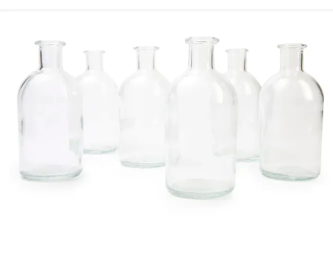 Clear Bottle Bud Vase 