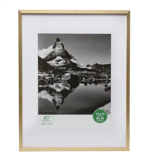 Gold Rimmed Frame