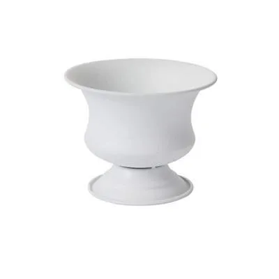 Sydney Compote