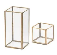 Gold Terrariums