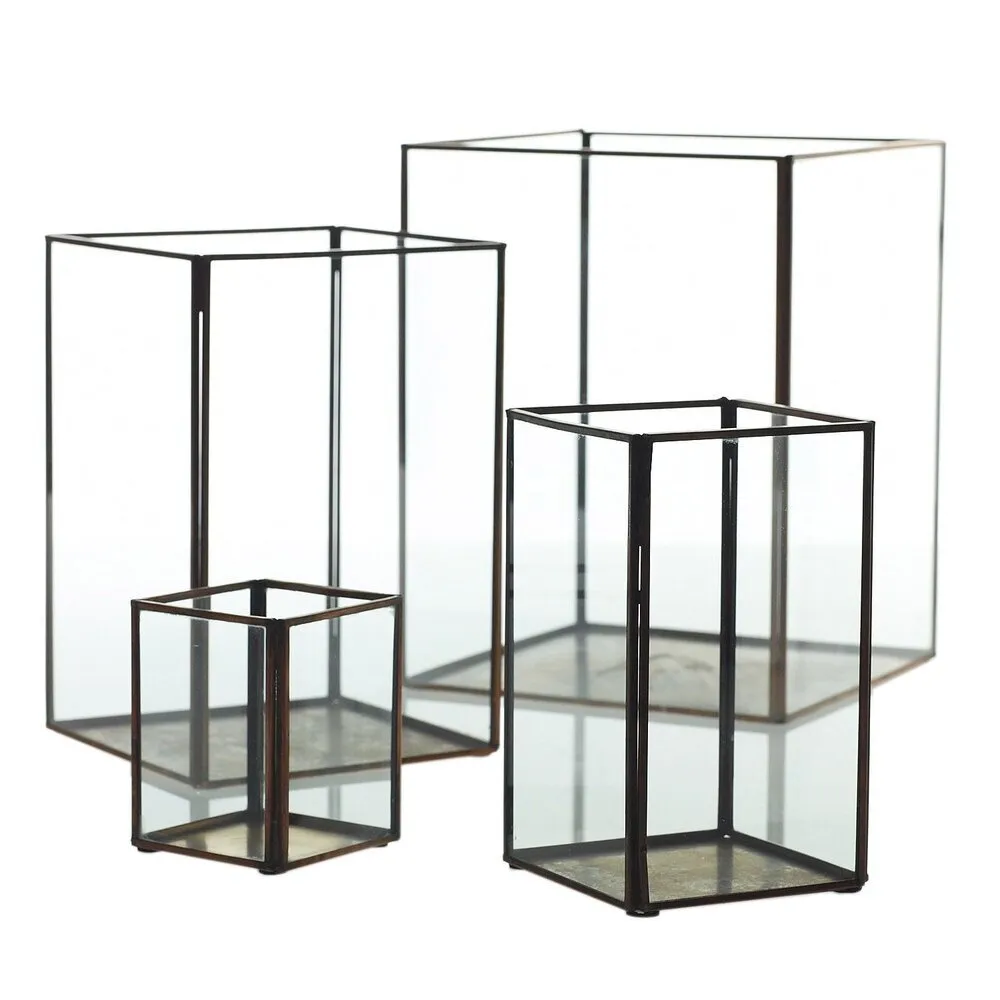 Taj Display Boxes