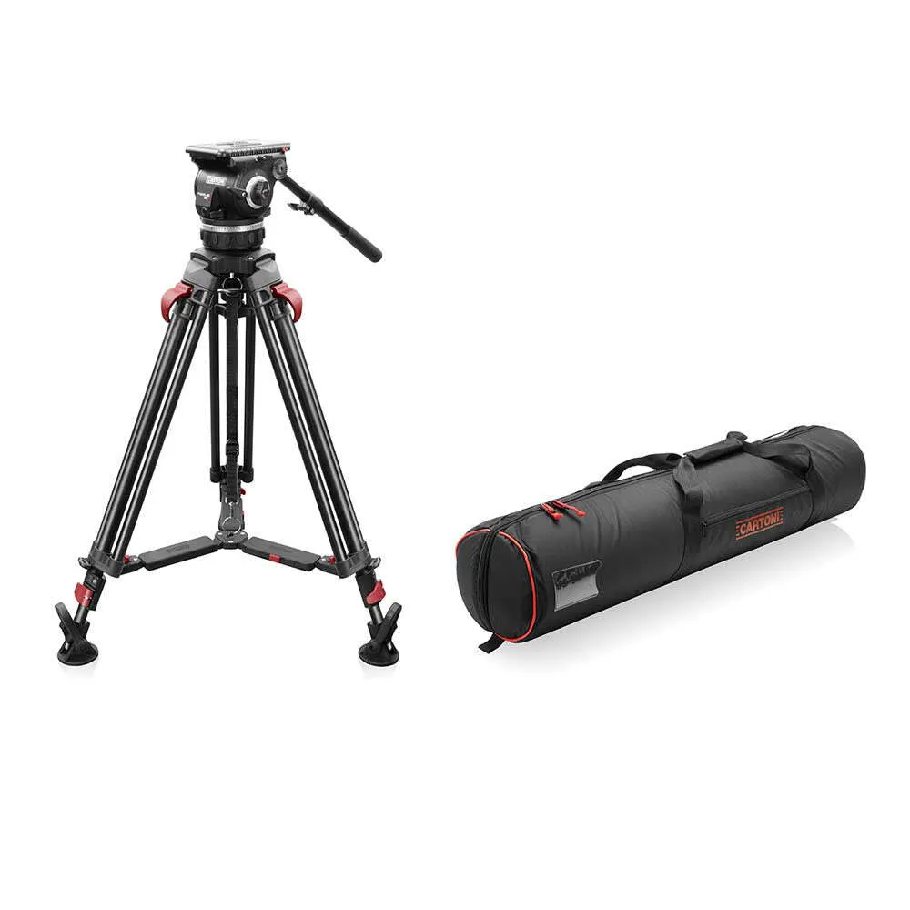 Tripod Head and Legs