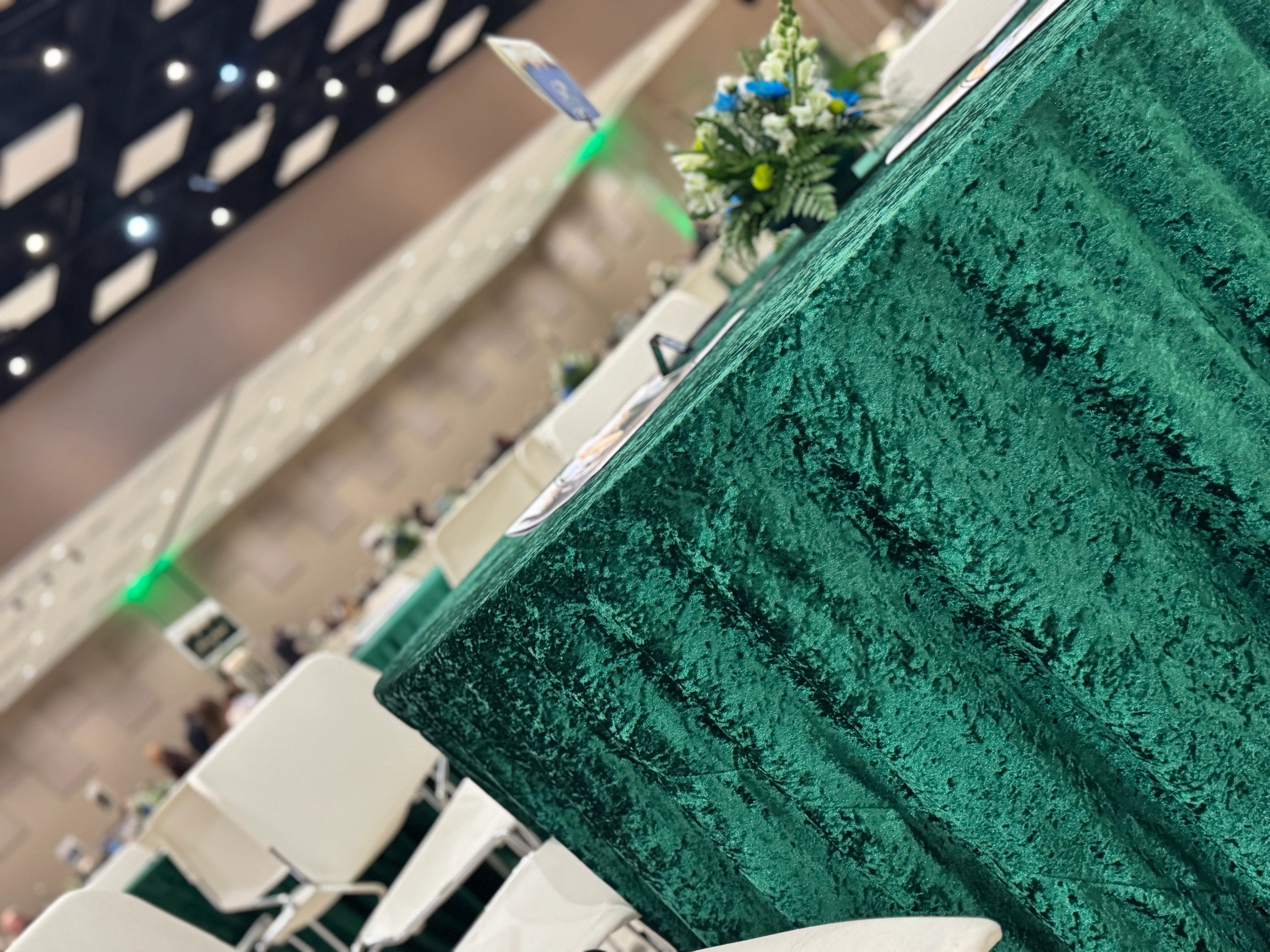 Velvet Emerald Green table linen- 120"