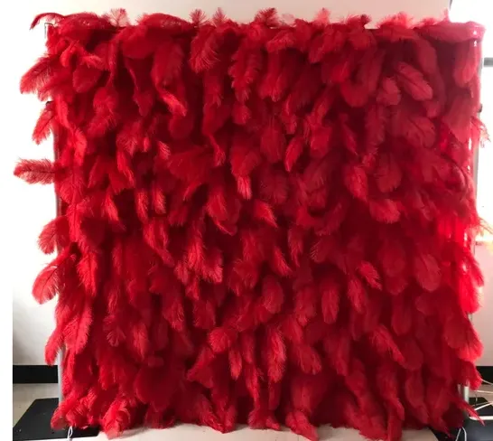 Red Feather Wall -*Miss Rouge*-