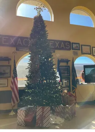 12ft Christmas Tree LIT