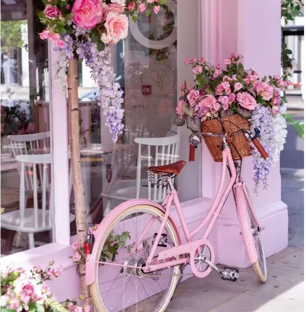 Pink Bike with Florals