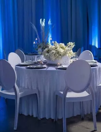 "Snow" | White Acrylic Chairs