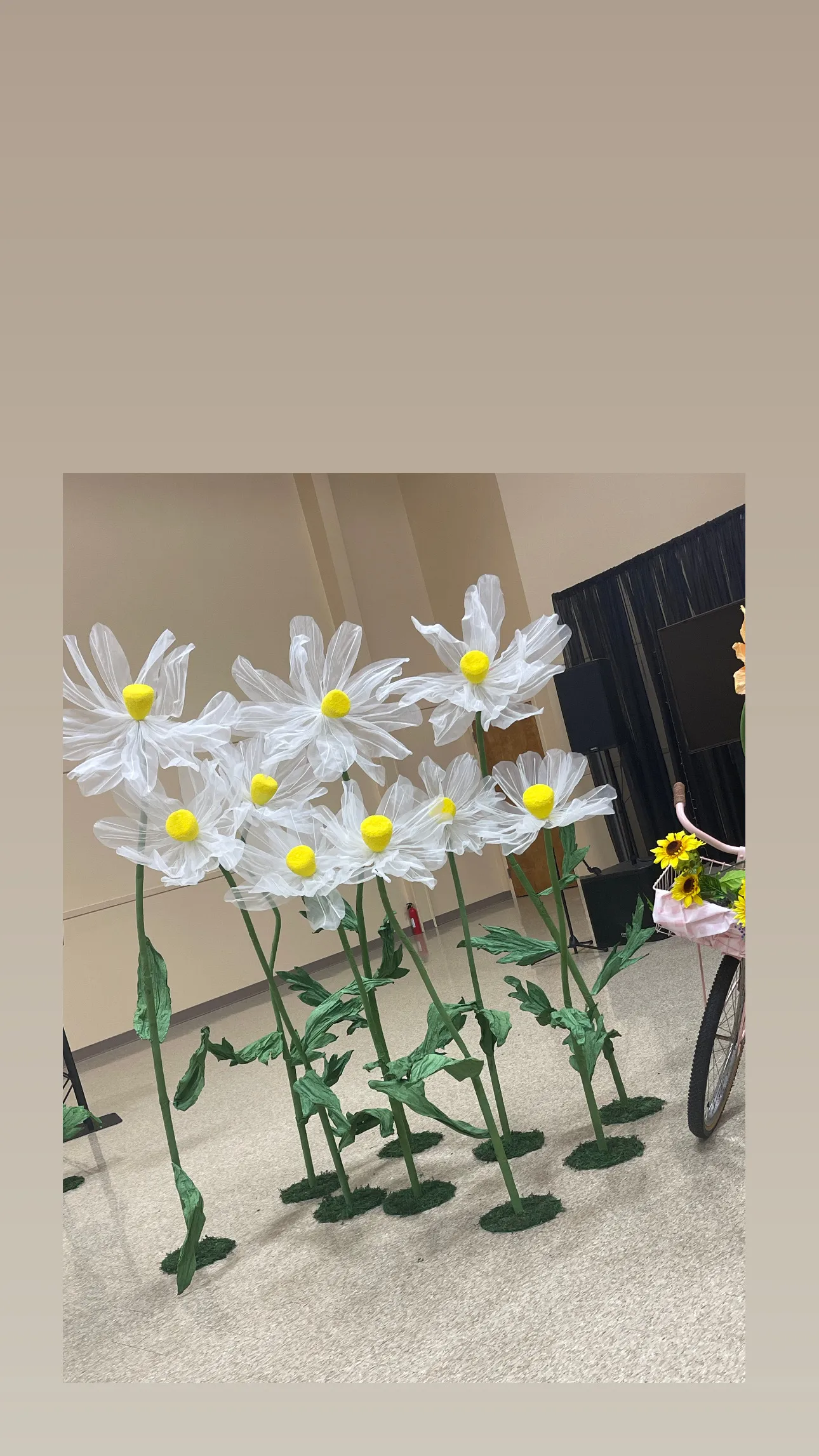 Oversized Standing Daisies (9)