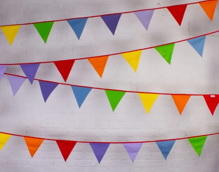 Rainbow Bunting - 10m