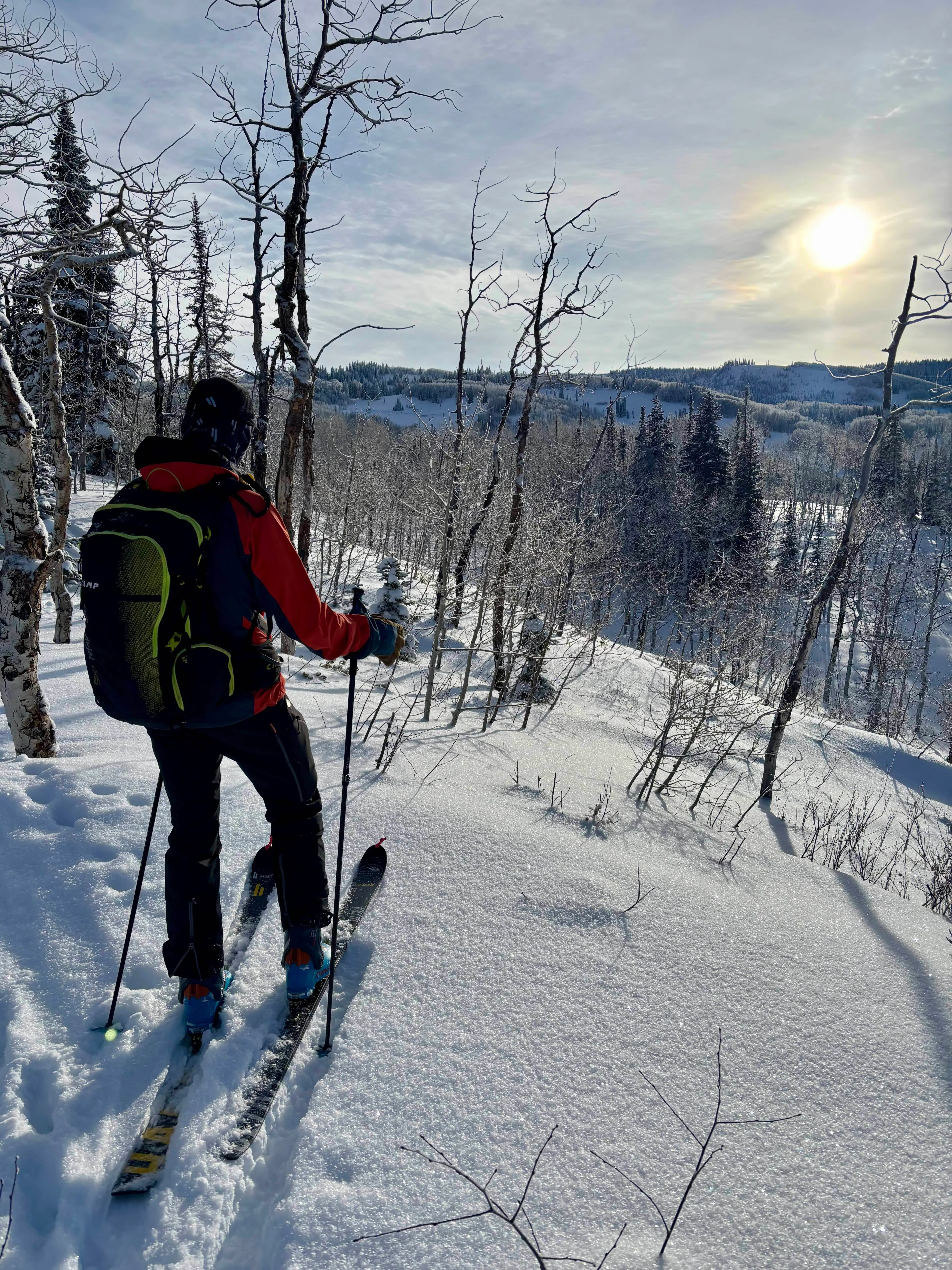 Guided Uphill Ski Tour Steamboat Springs (Includes rental gear if needed)