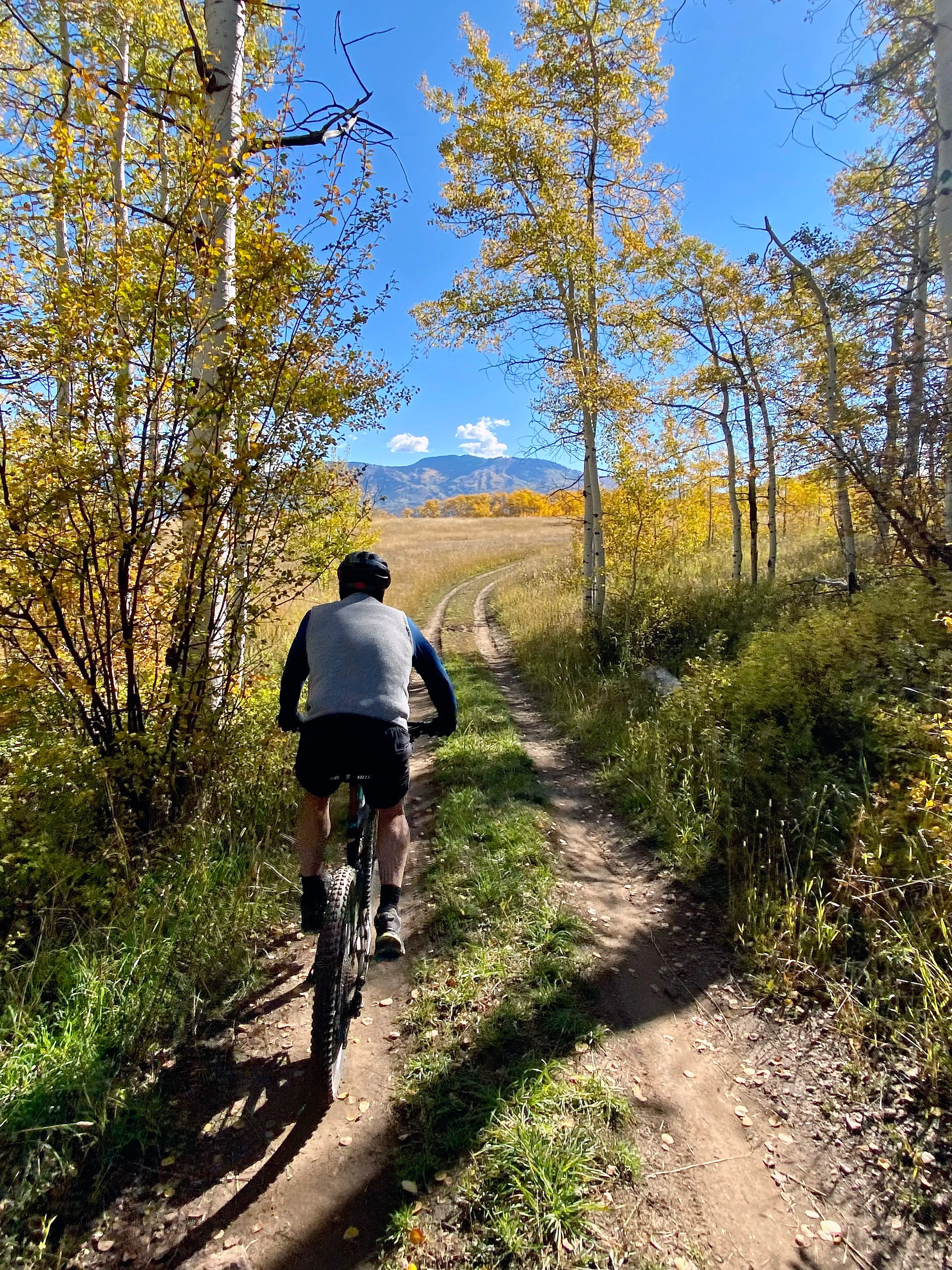 Guided Mountain Bike Ride Steamboat Springs (Includes rental bike if needed)