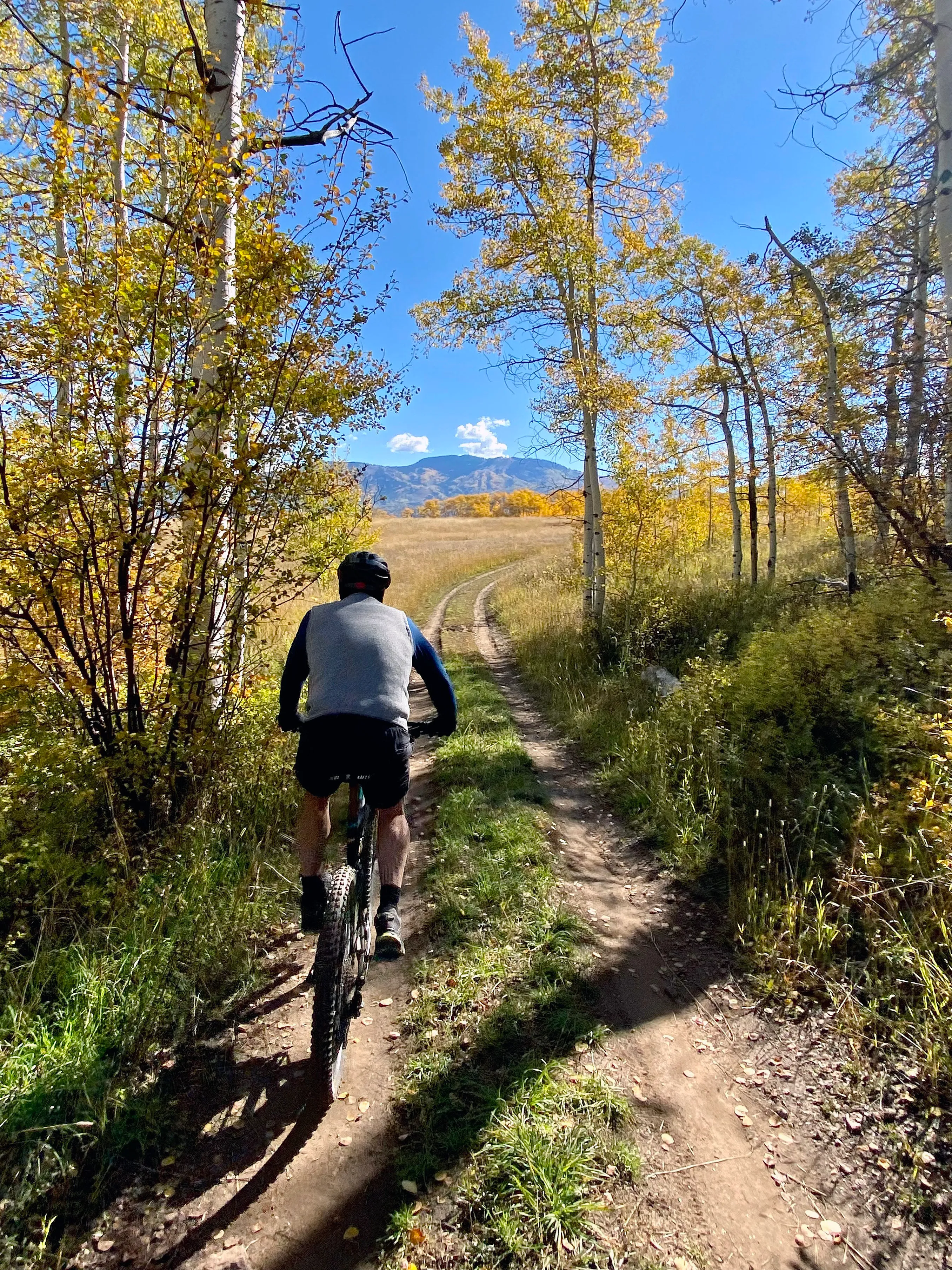 Guided Mountain Bike Ride Steamboat Springs (Includes rental bike if needed)