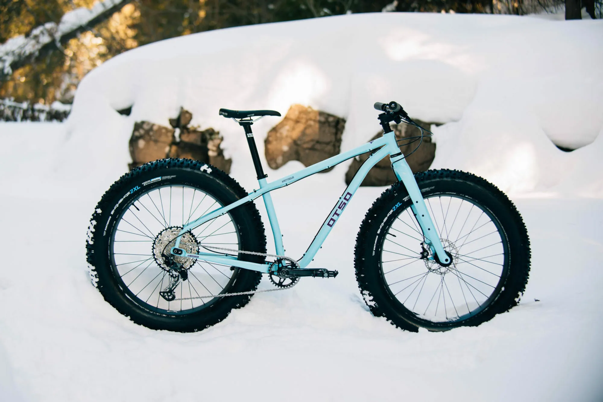 Fat Bike - Otso Arctodus - 5" tires & SLX 12speed