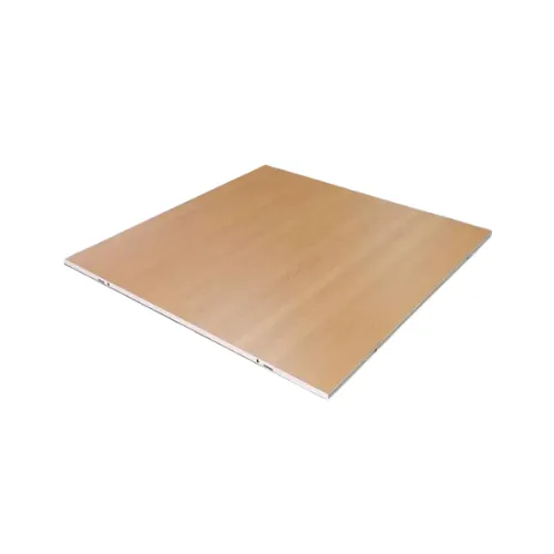 Plancher de danse (section de 4'x4')