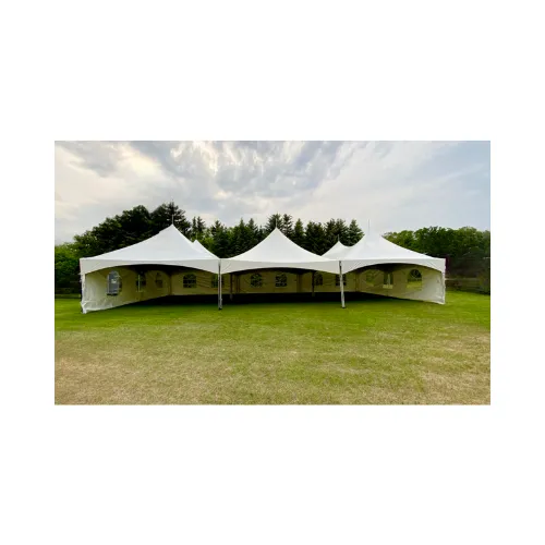 Tente Marquise 30' x 60' (3x - 20'x30')
