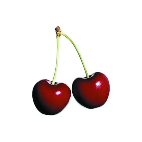 Sucre à barbe à papa en vrac - 33 livres