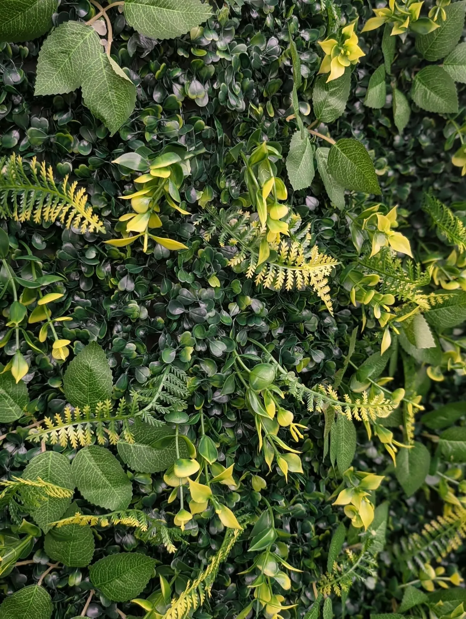 Greenery Wall Backdrop 8' x 8'