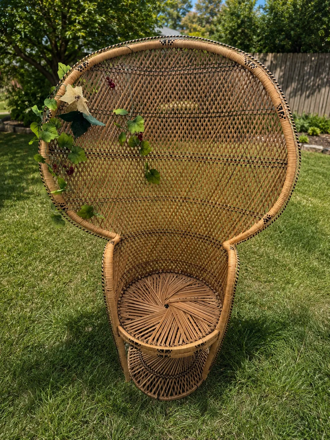 Peacock Chair