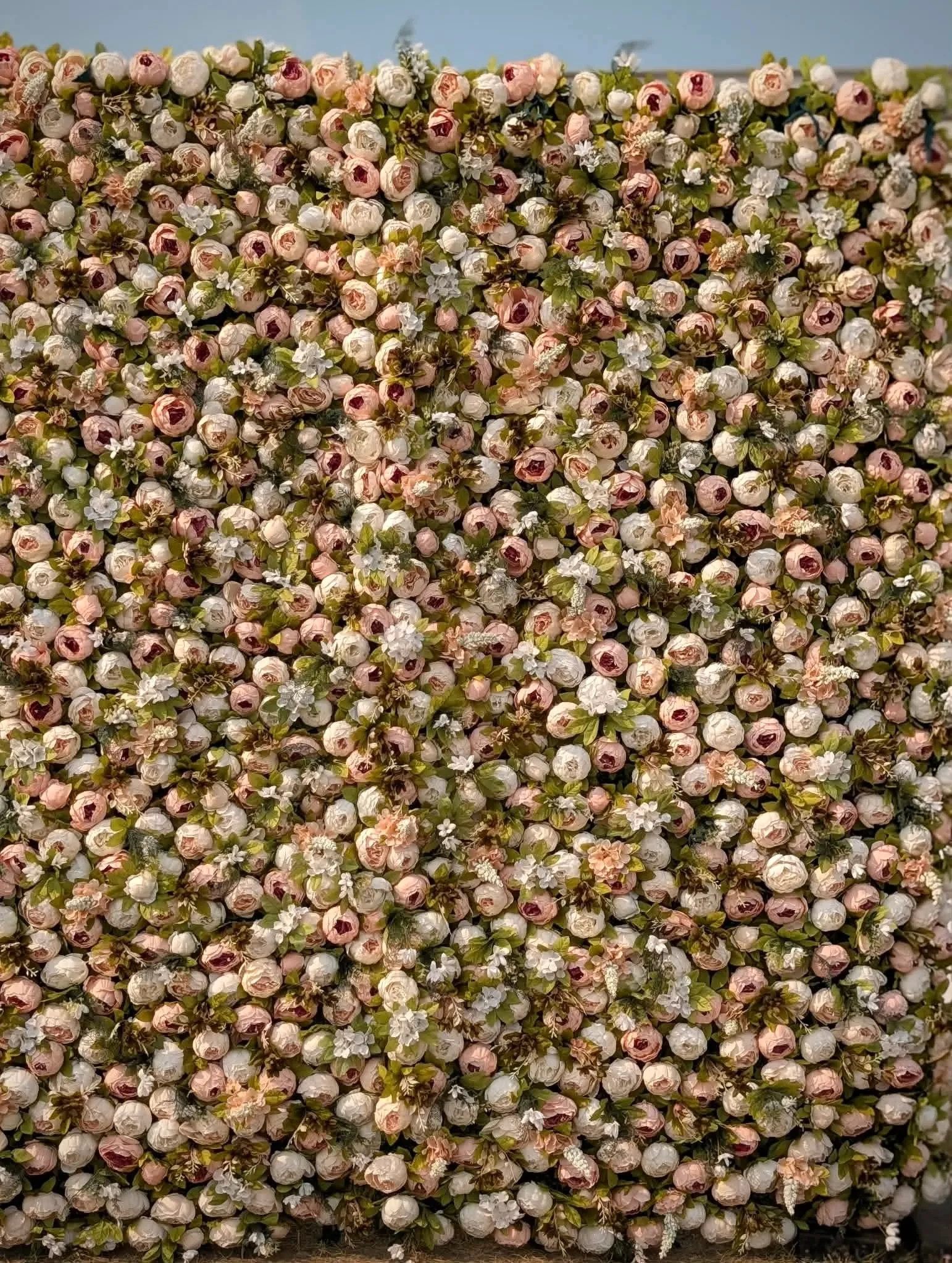 5D Flower Wall - Blush 