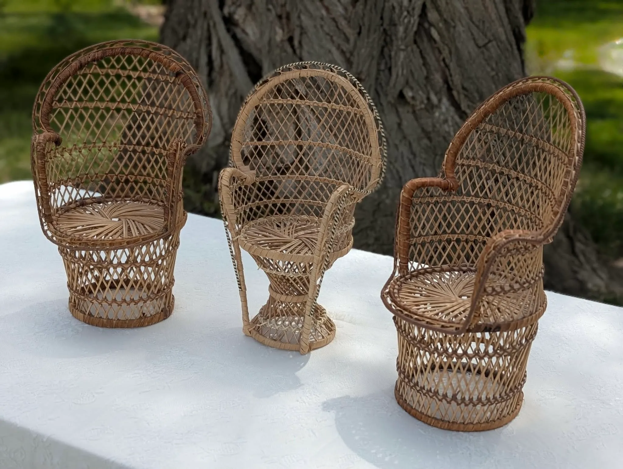 Mini Rattan Peacock Chairs Stands