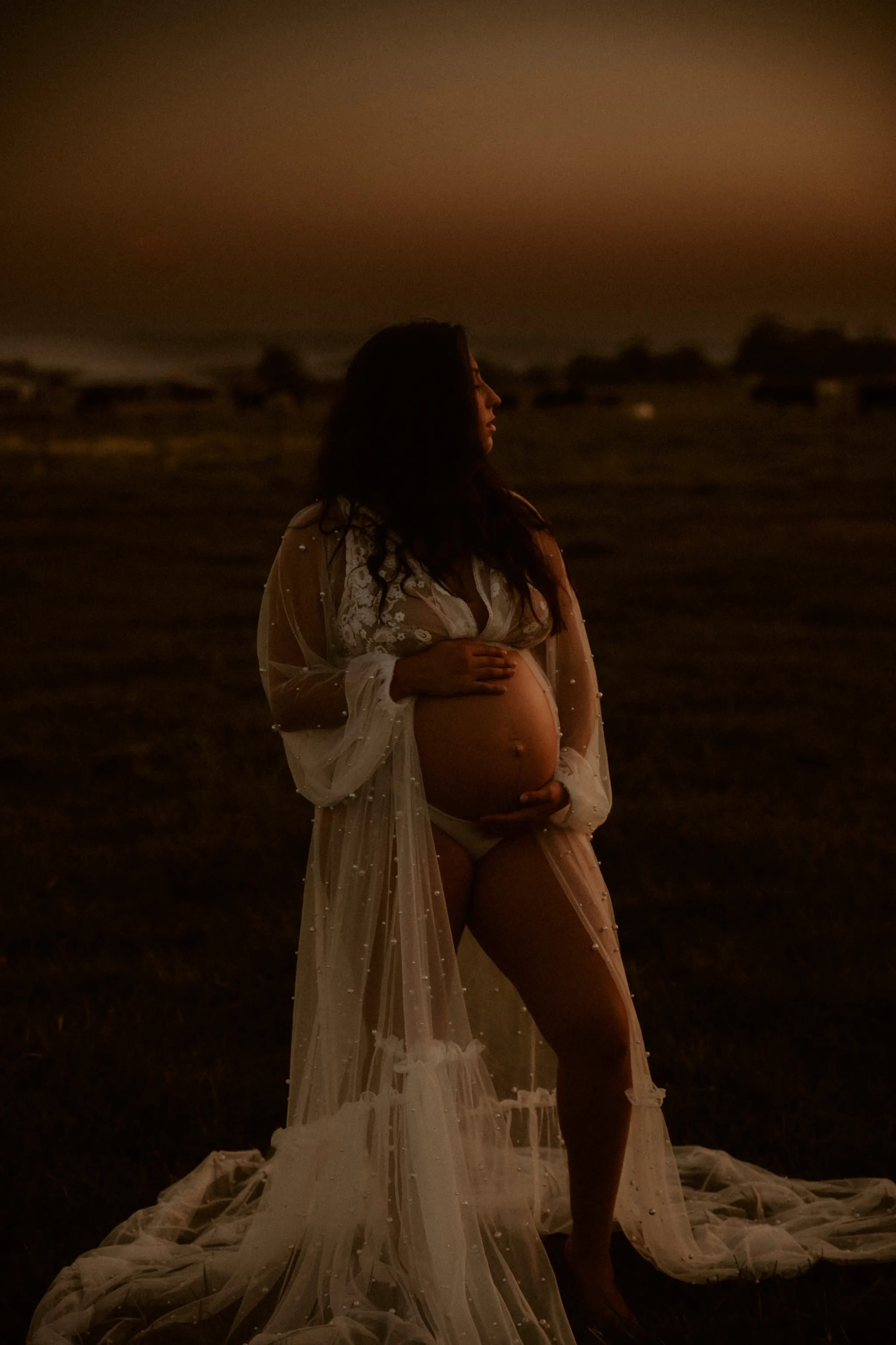 chiffon and silk gowns