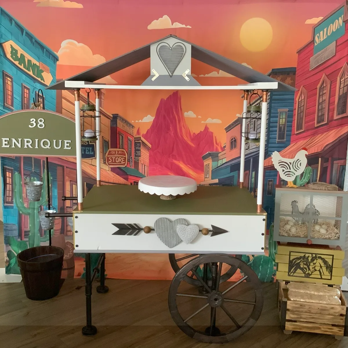 Western Desert Backdrop