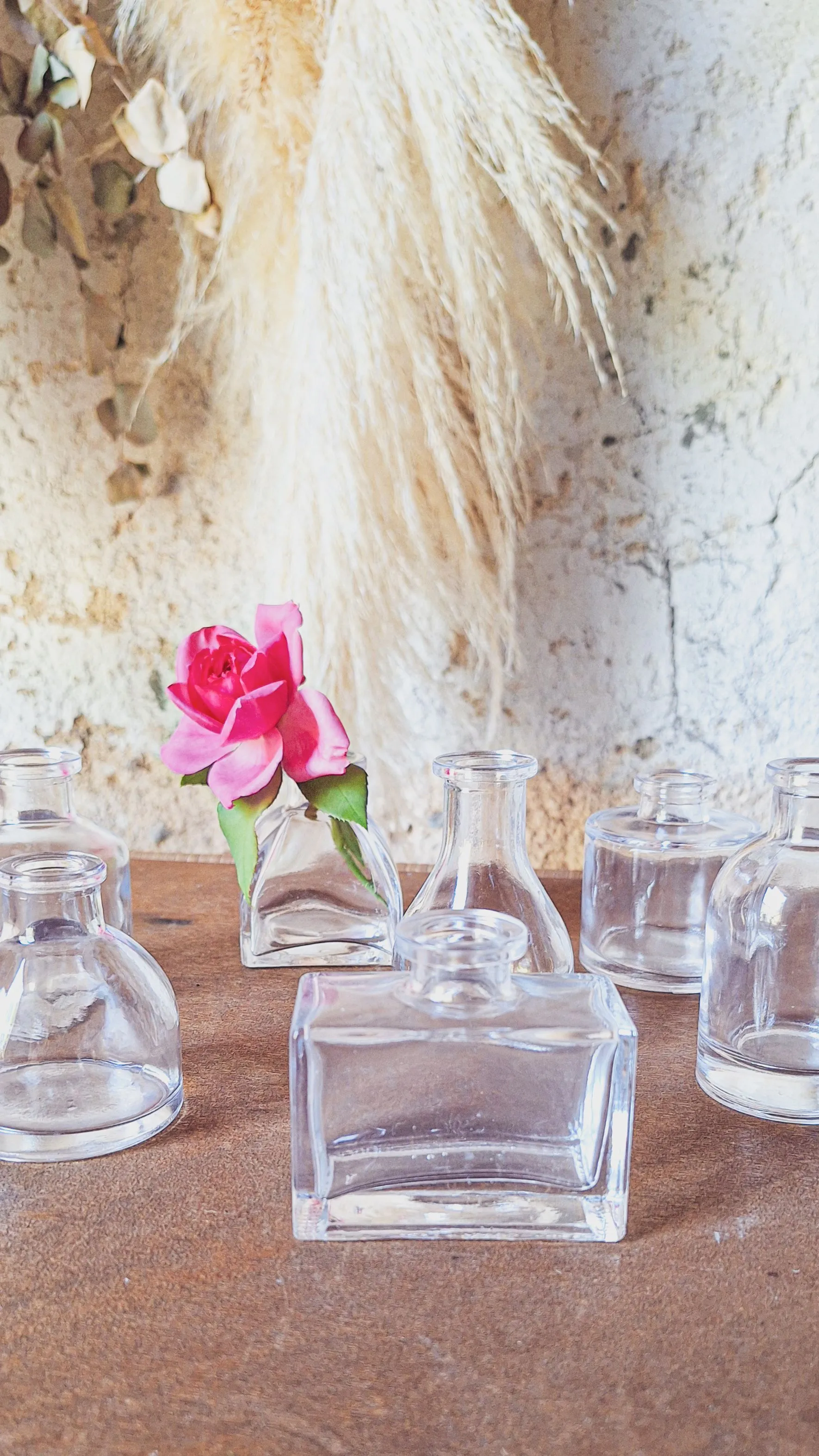 Lot de mini soliflores Modena x7