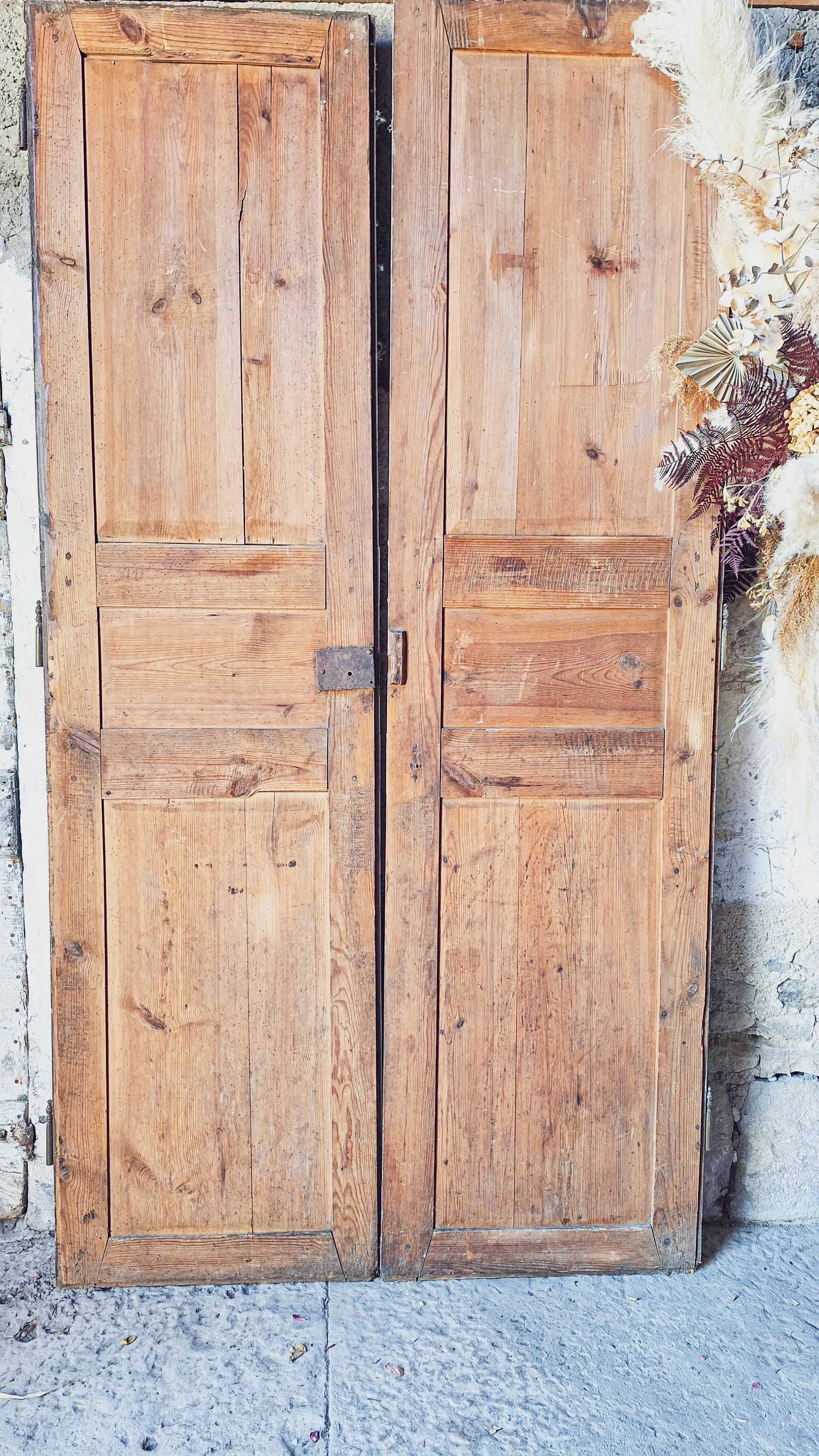 Double porte bois