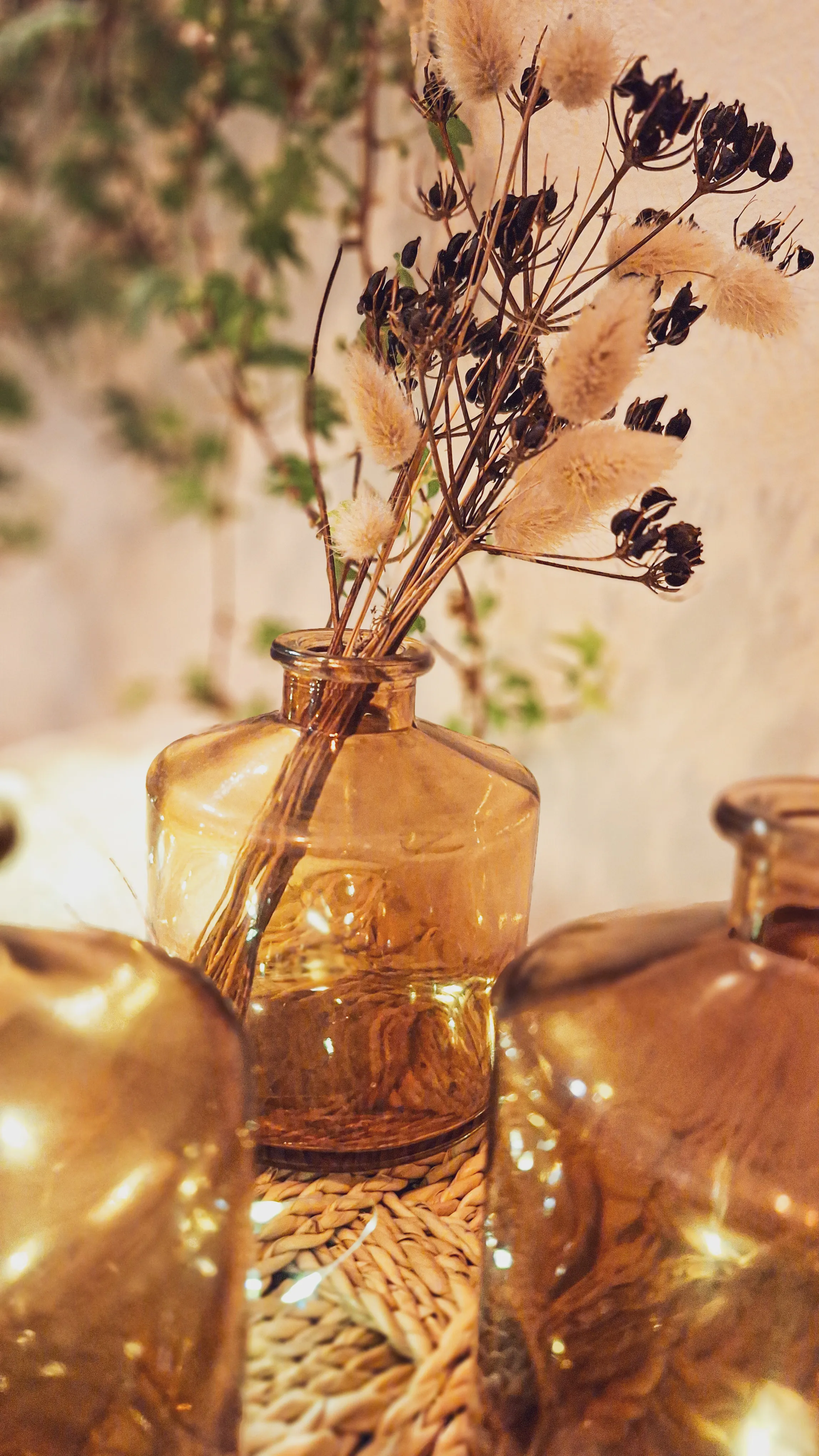 Soliflore Sienna fumé