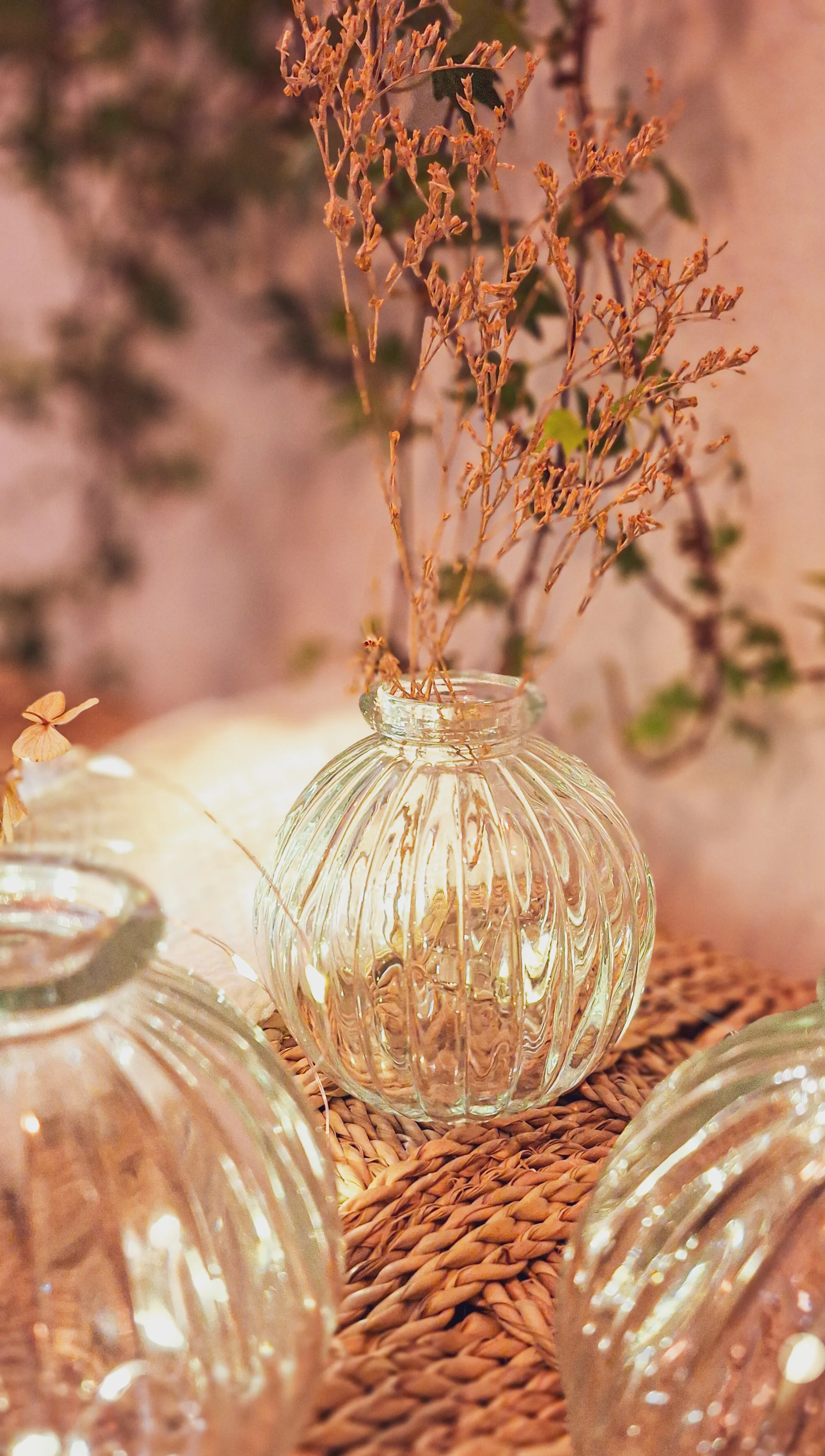 Soliflore Parma Stries