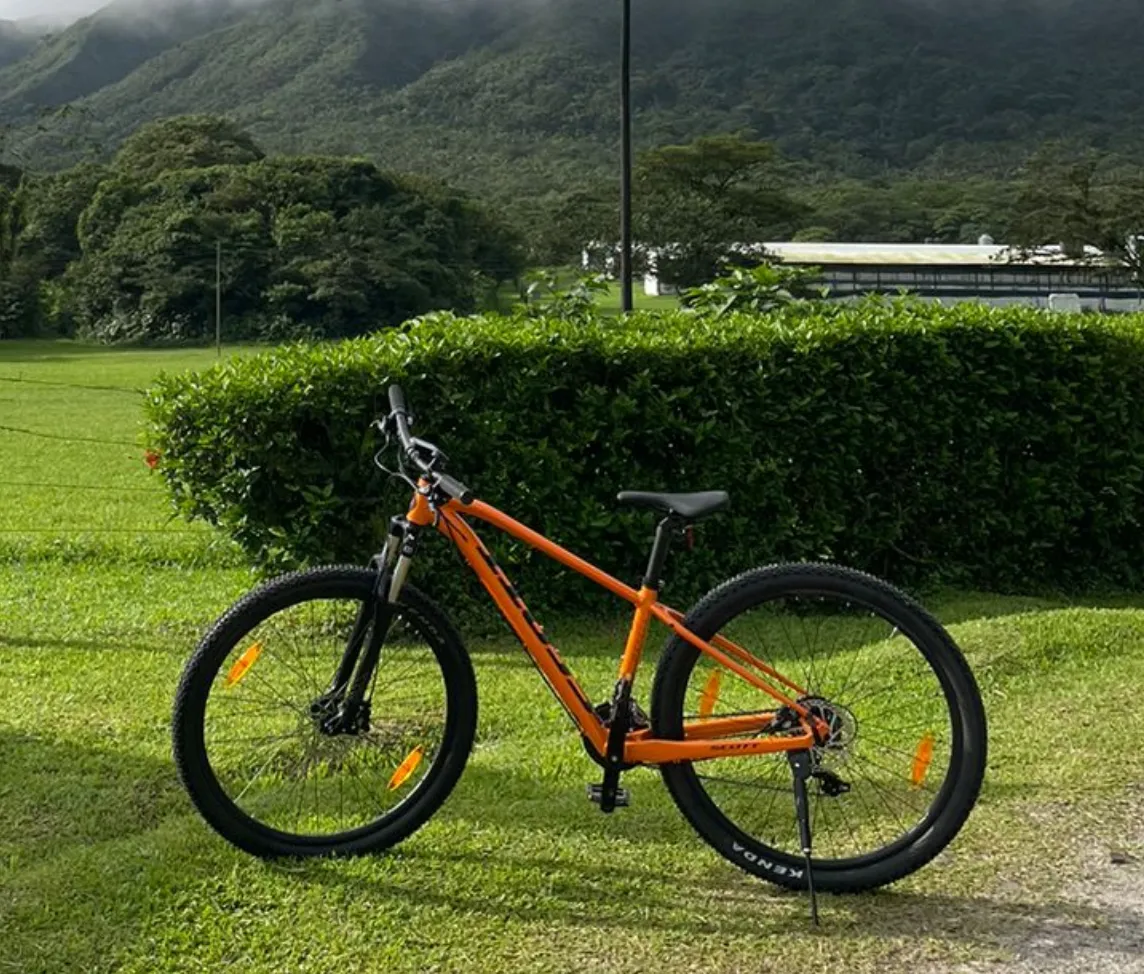 Rent a Bike